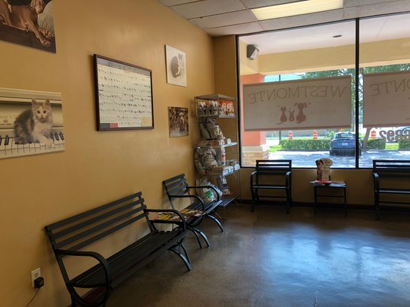 230 Wymore Rd, Altamonte Springs, FL 32714